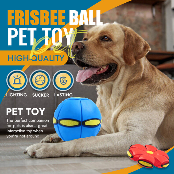 Pet Toy Flying Saucer Ball